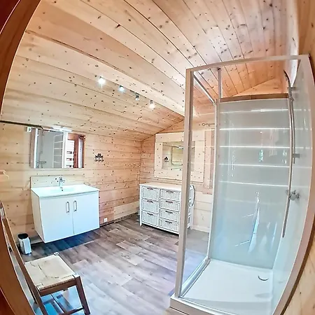 Ours Brun - Ours Brun Mae-5193 Chalet Vénosc